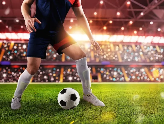 IM体育应用界面展示